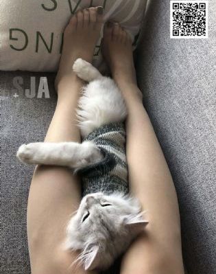 好大好湿好硬顶到了视频_蓝光高清在线观看